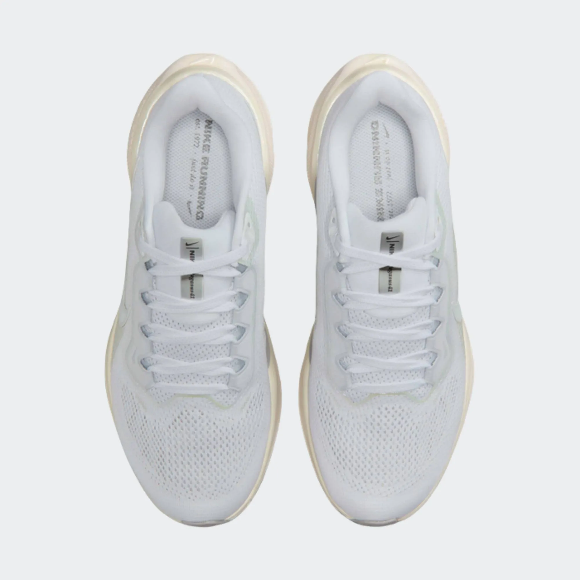 NIKE WOMENS AIR ZOOM PEGASUS 41 ESS