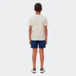 CHAMPION GRAPHIC GALLERY SET