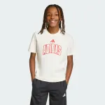 ADIDAS BOYS STD GFX TSHIRT