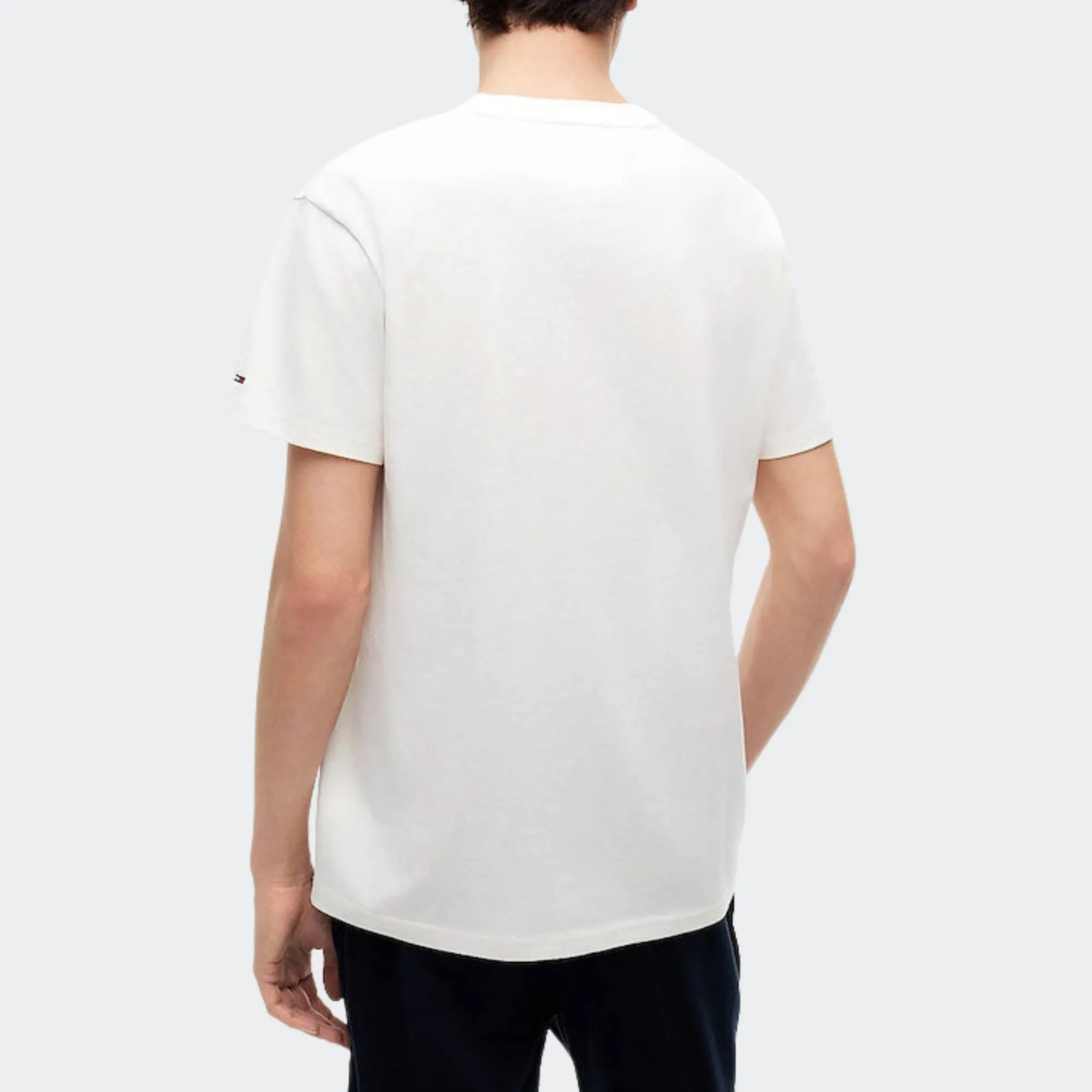 TOMMY JEANS MENS REGULAR PHOTO FLAG TEE