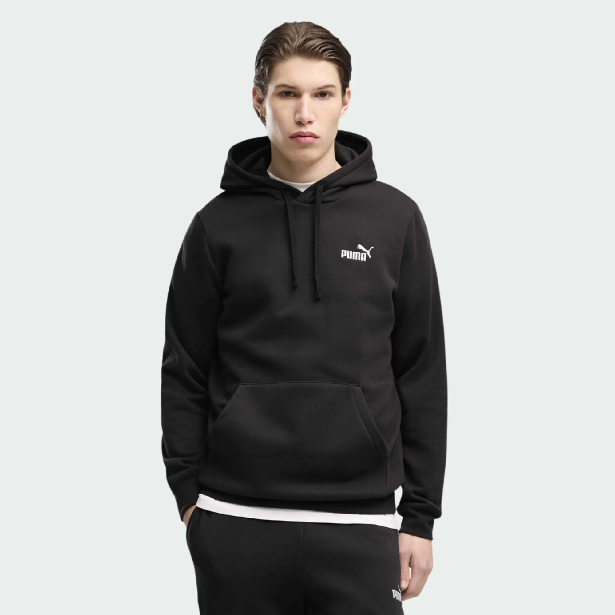 PUMA ESSENTIALS SMALL NO. 1 LOGO HOODIE
