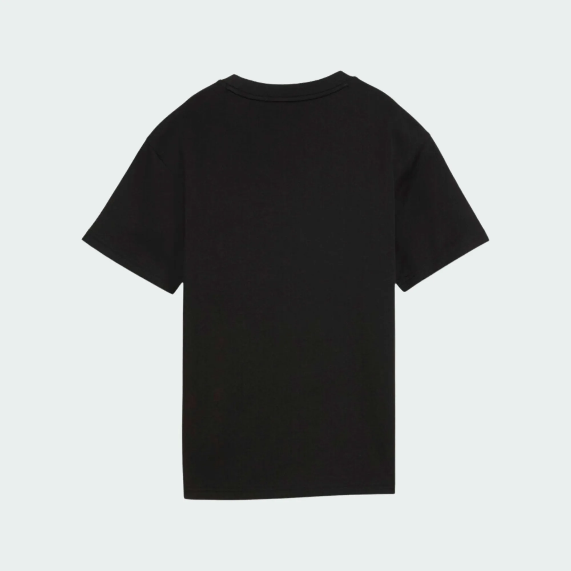 PUMA ESSENTIALS LOGO LAB RELAXED FRONT GRAPHIC TEE BOYS