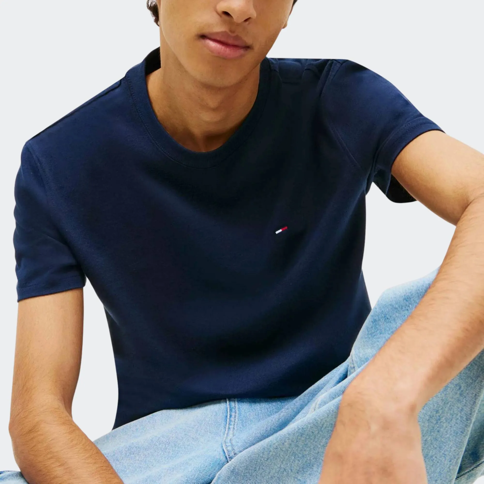 TOMMY JEANS MENS REGULAR FLAG TEE