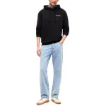TOMMY JEANS MENS REGULAR ENTRY DNA HOODIE