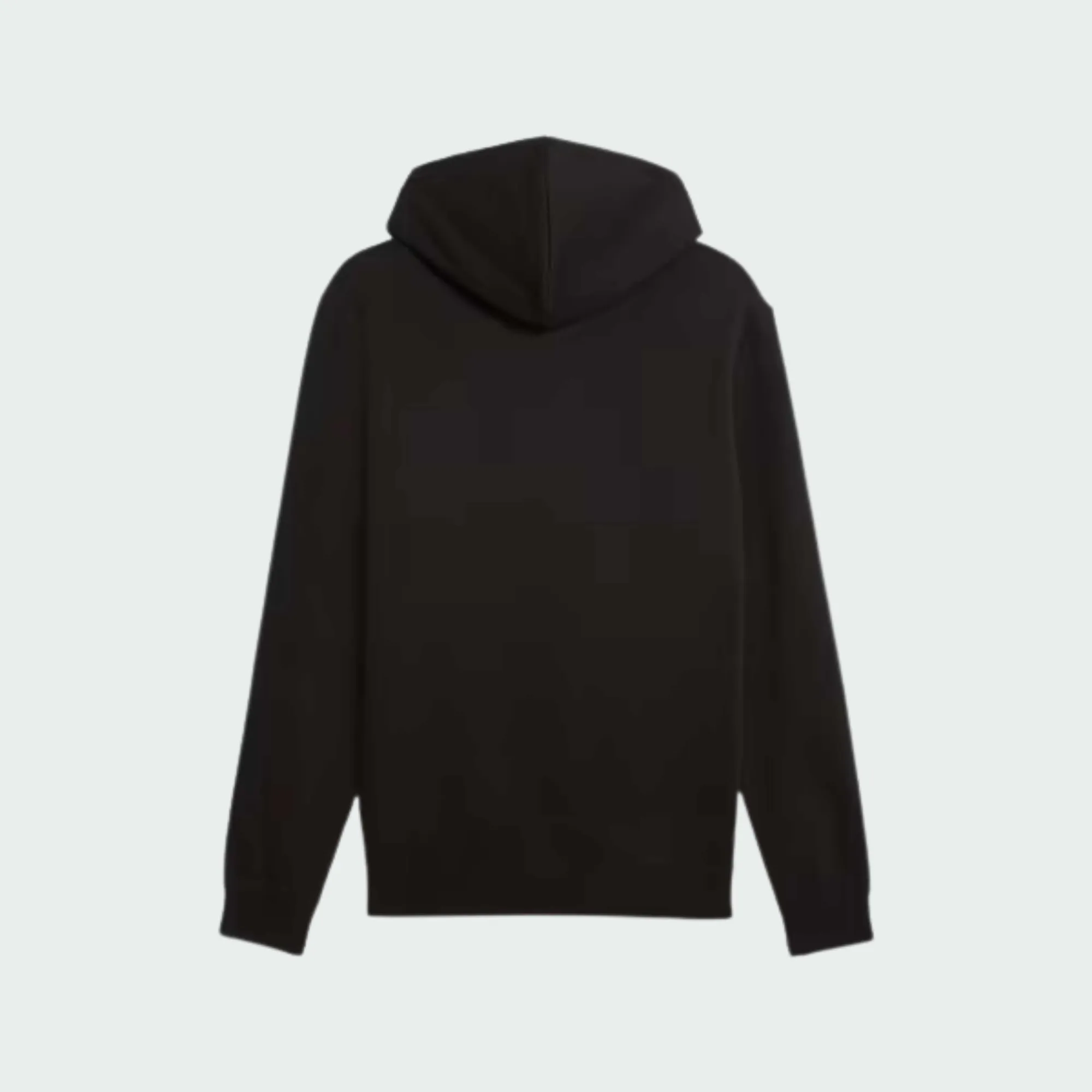 PUMA ESSENTIALS SMALL NO.1 LOGO CENTERED HOODIE