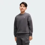 PUMA ESSENTIALS ELEVATED RELAXED CREW AND CARGO PANTS SUIT BOYS