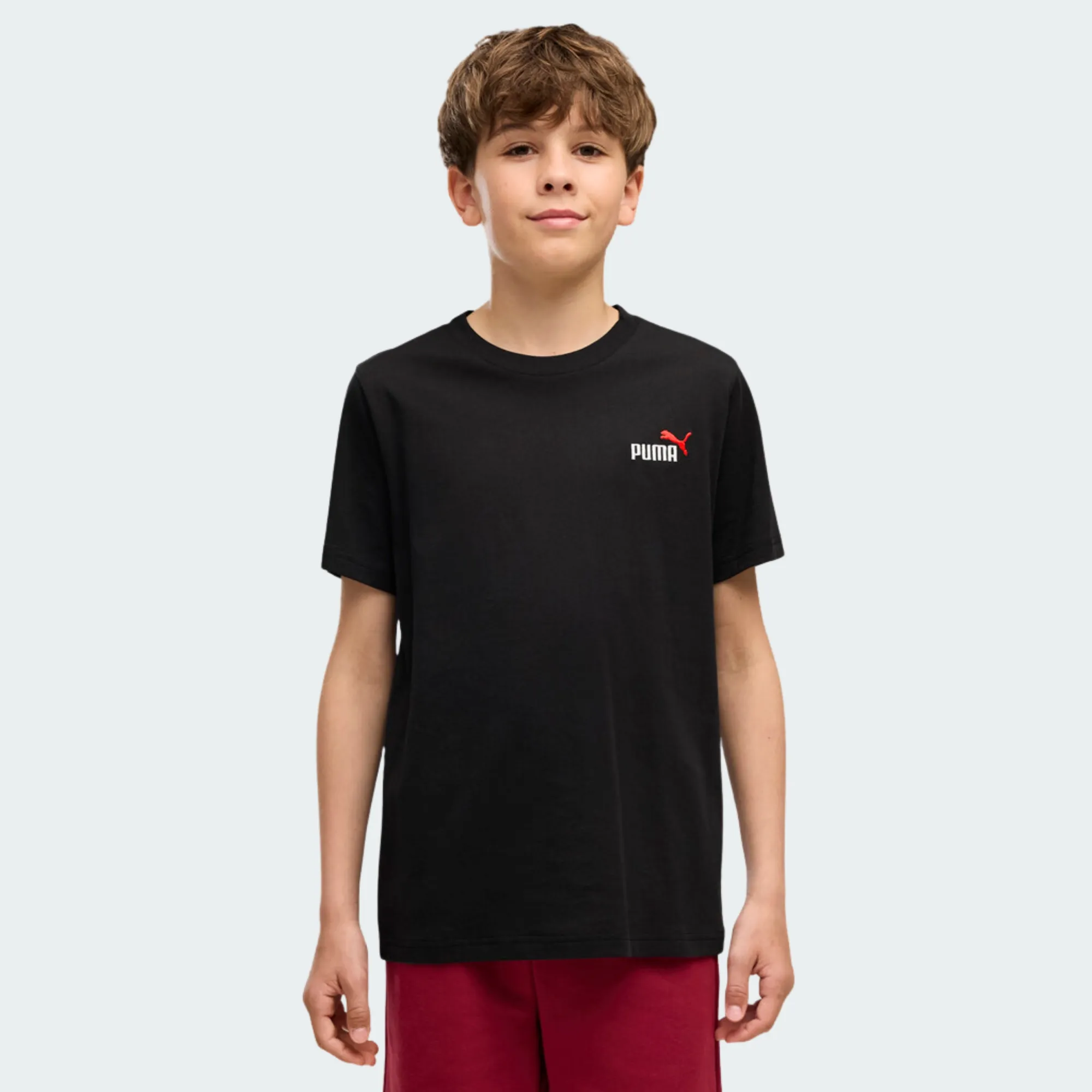 PUMA ESSENTIALS 2 COLOR SMALL NO. 1 LOGO TEE BOYS