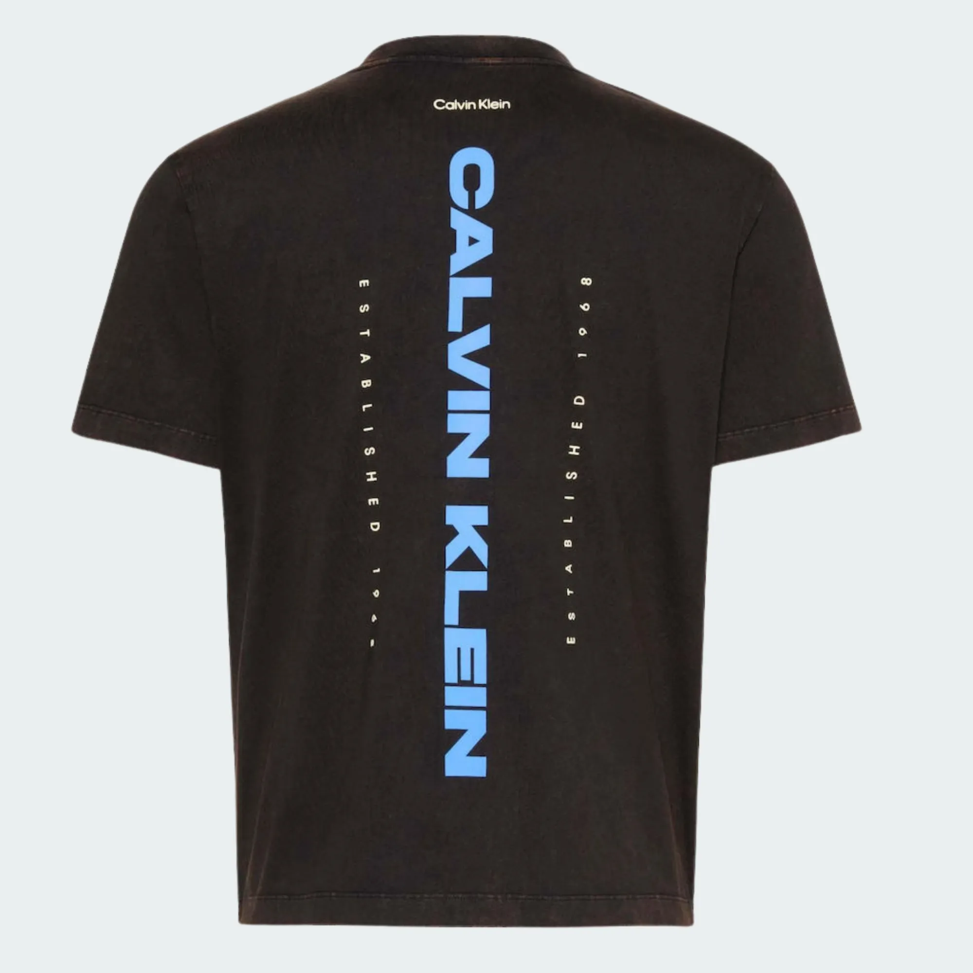 CALVIN KLEIN JEANS WASHED SPINE GRAPHIC TEE