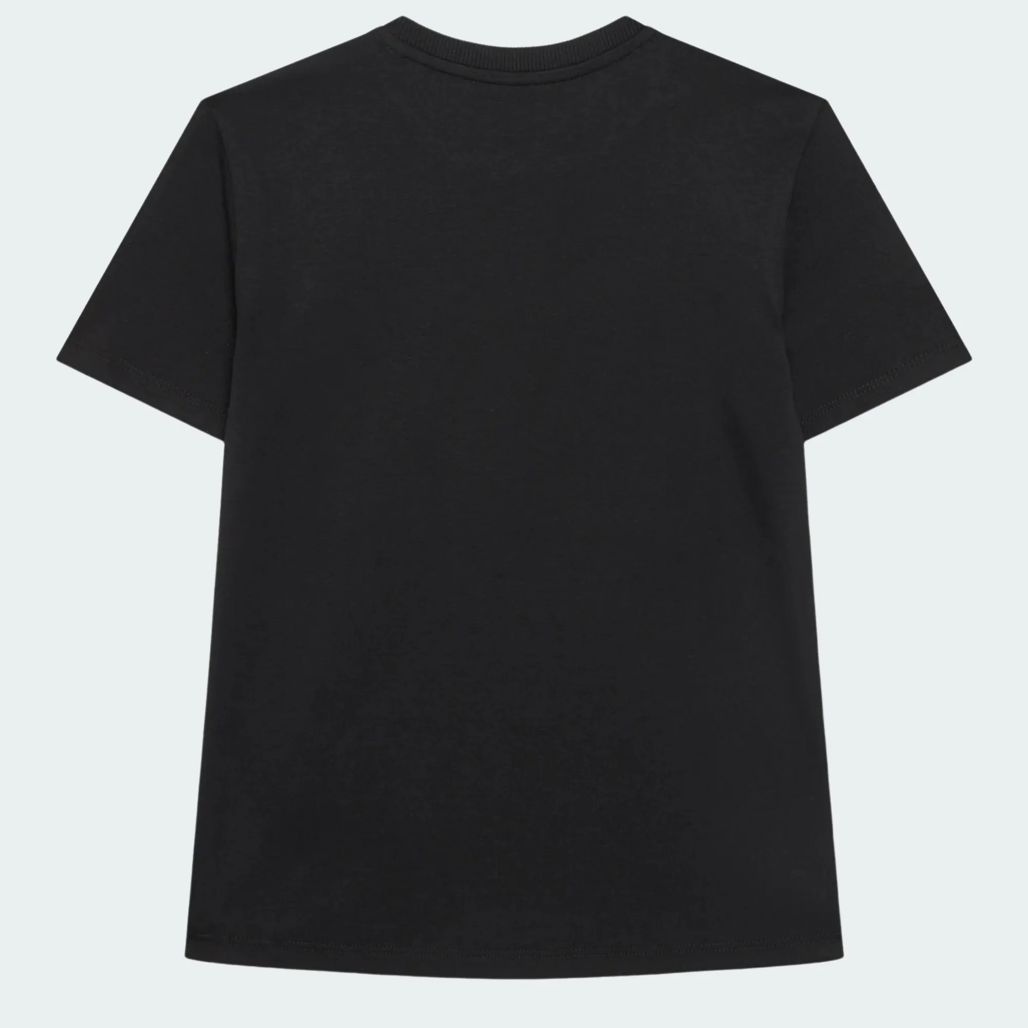 GUESS T-SHIRT MID ORGANIC COTTON