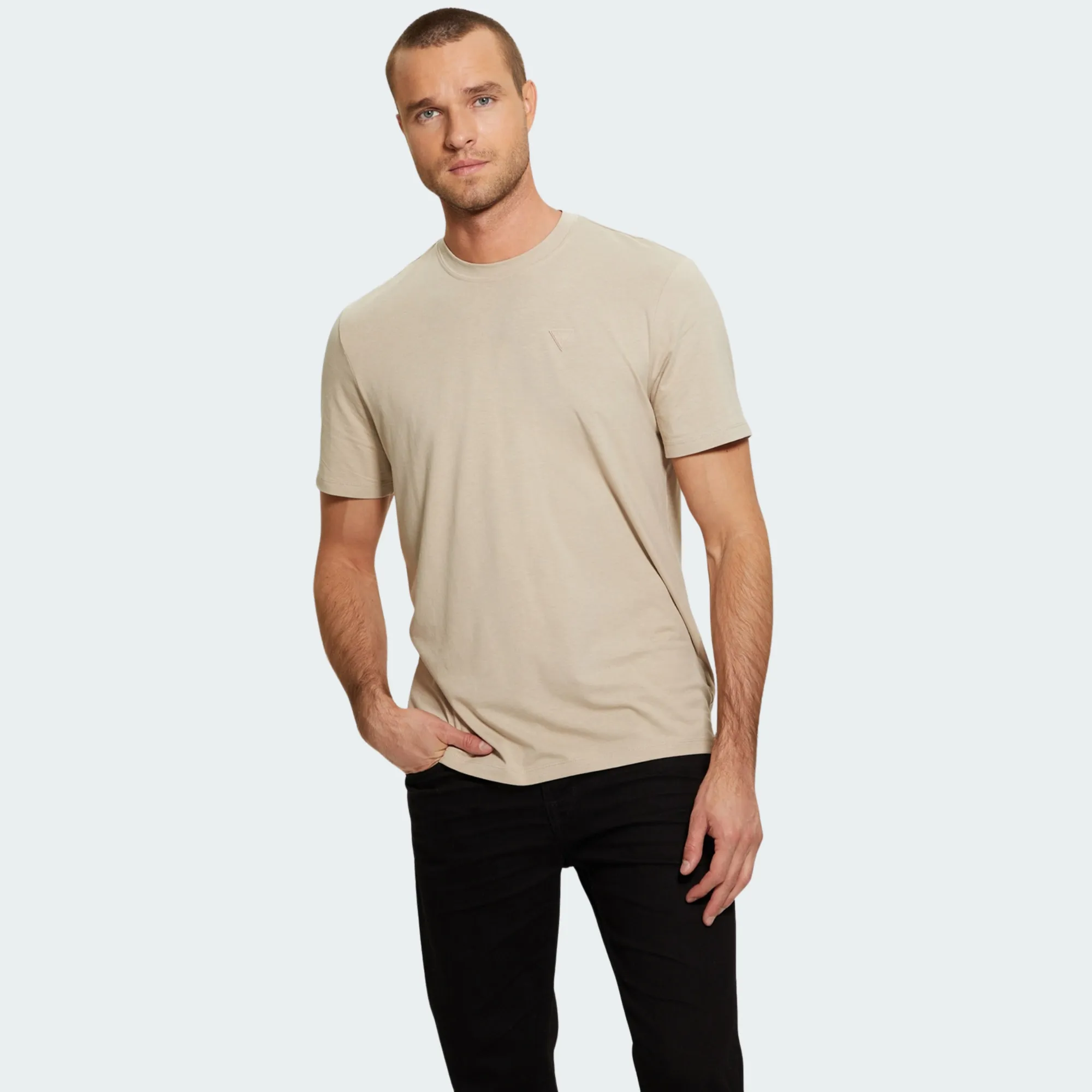 GUESS HEDLEY T-SHIRT