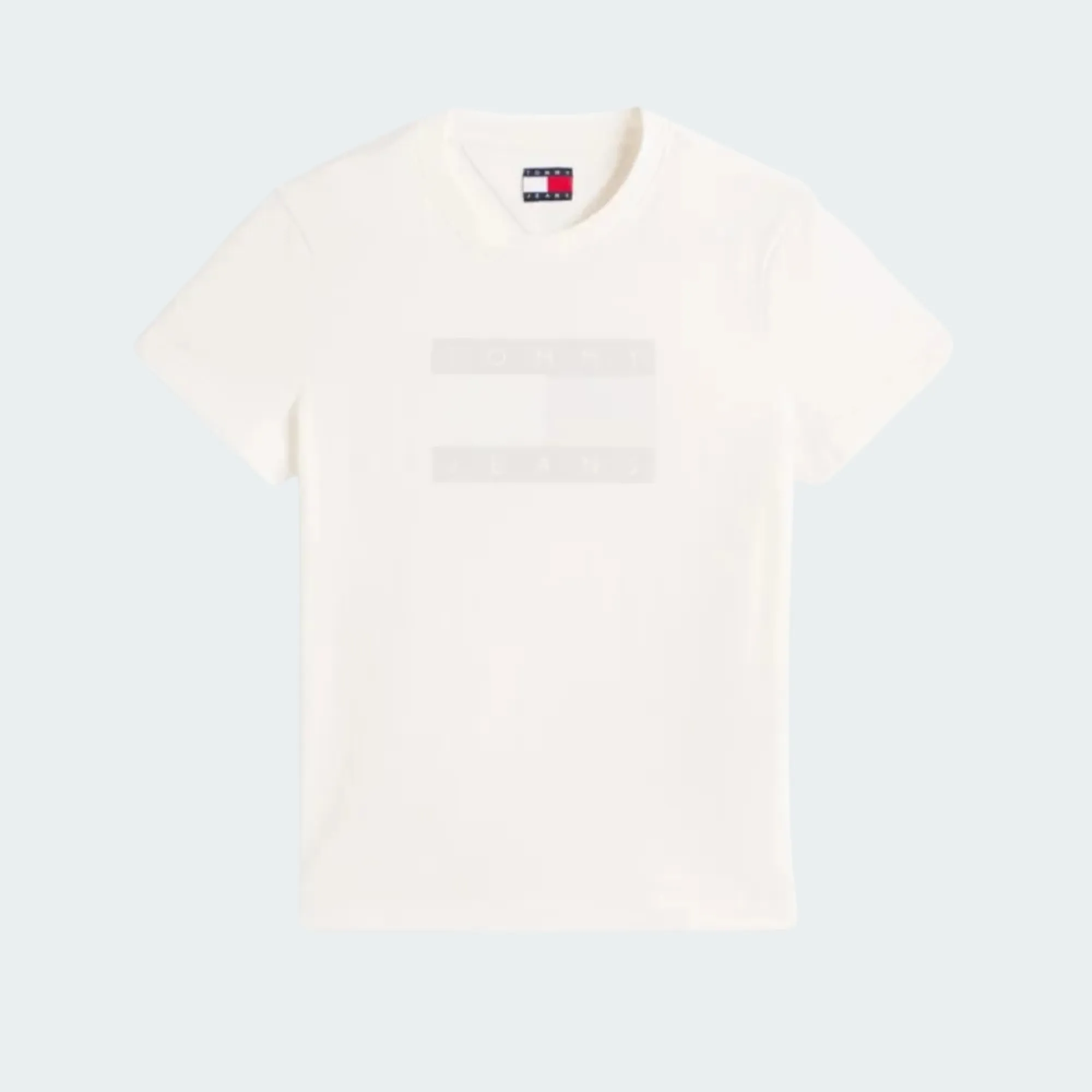 TOMMY JEANS REGULAR FLAG TEE