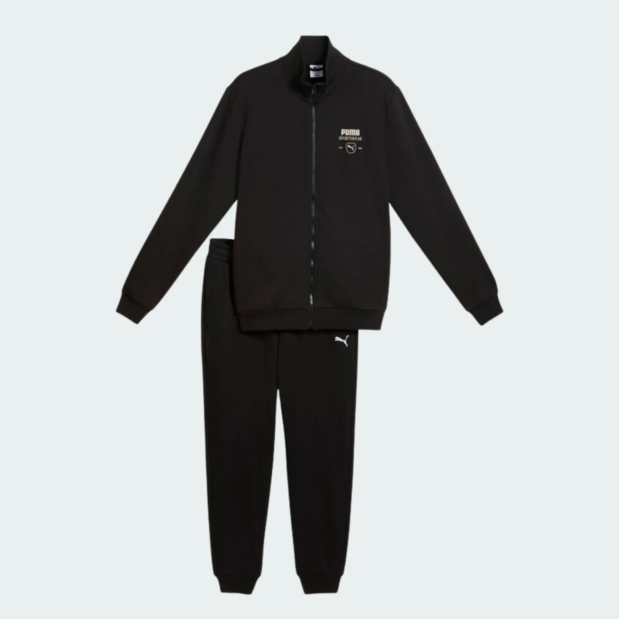 PUMA SPORT FASHION SWEAT SUIT