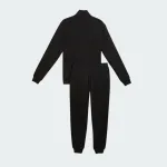 PUMA SPORT FASHION SWEAT SUIT
