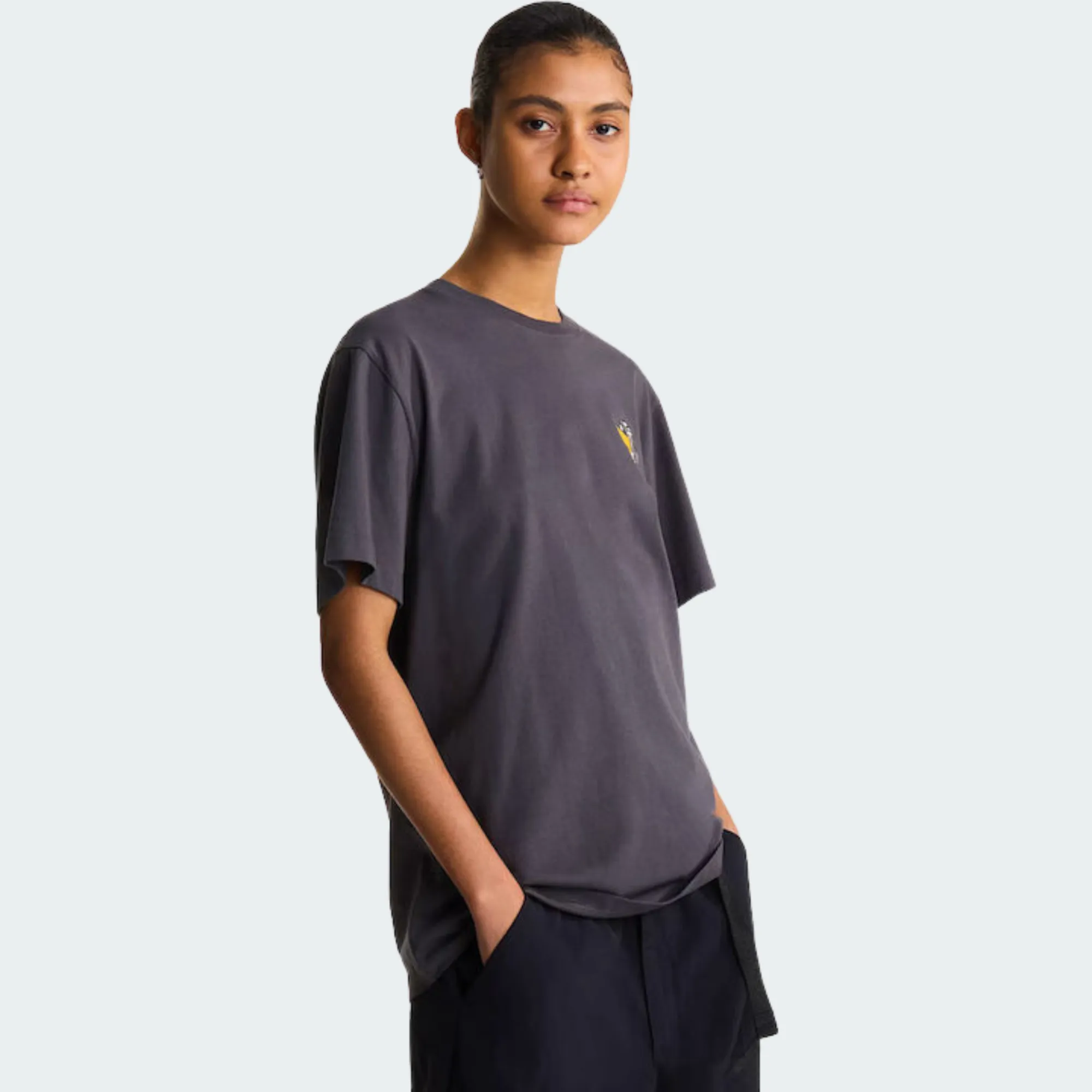 THE NORTH FACE GEAR UP GET OUT RELAXED TEE