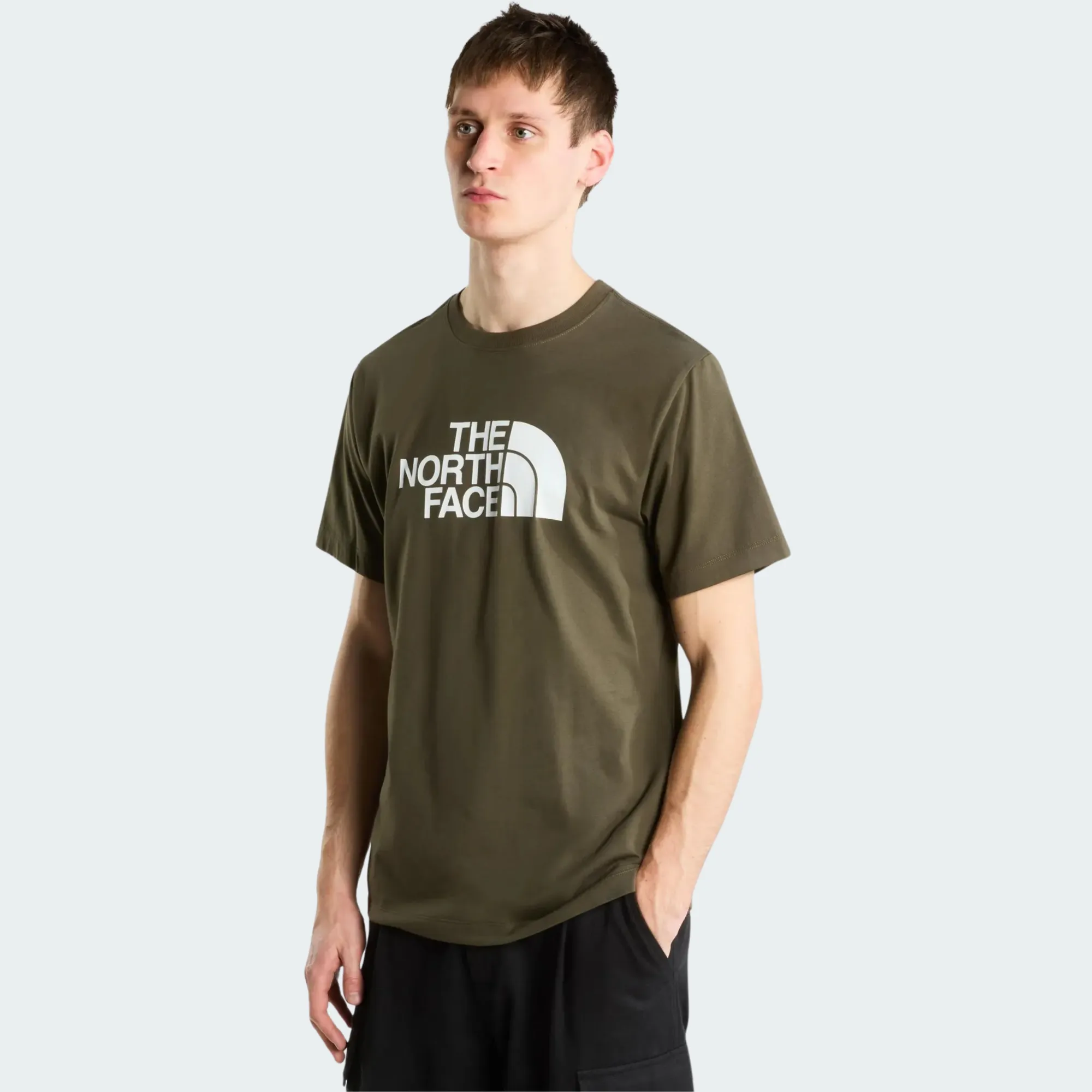 THE NORTH FACE EVO HLF REGULAR TEE