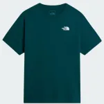 THE NORTH FACE EVO BOX NSE REGULAR TEE
