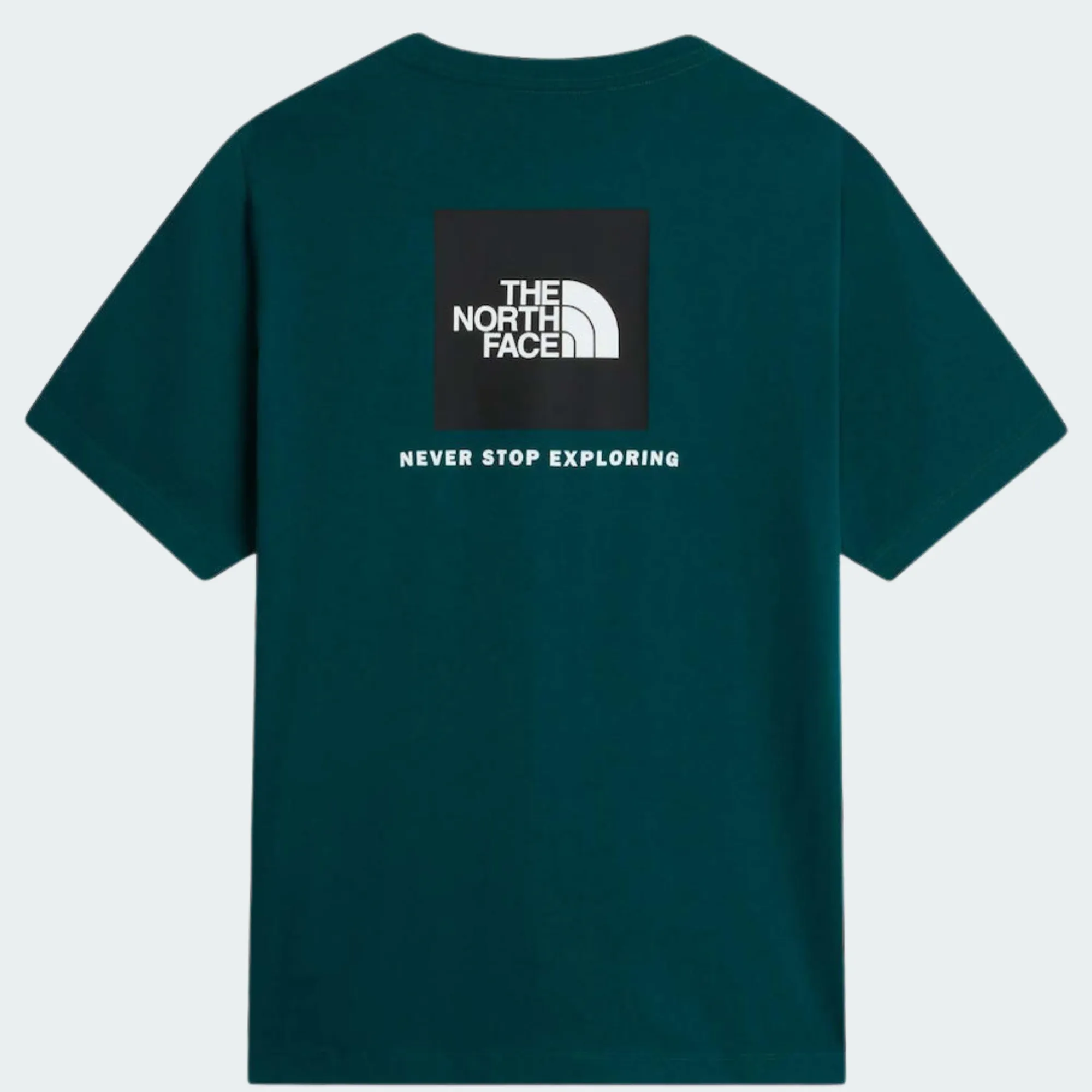 THE NORTH FACE EVO BOX NSE REGULAR TEE