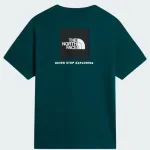 THE NORTH FACE EVO BOX NSE REGULAR TEE