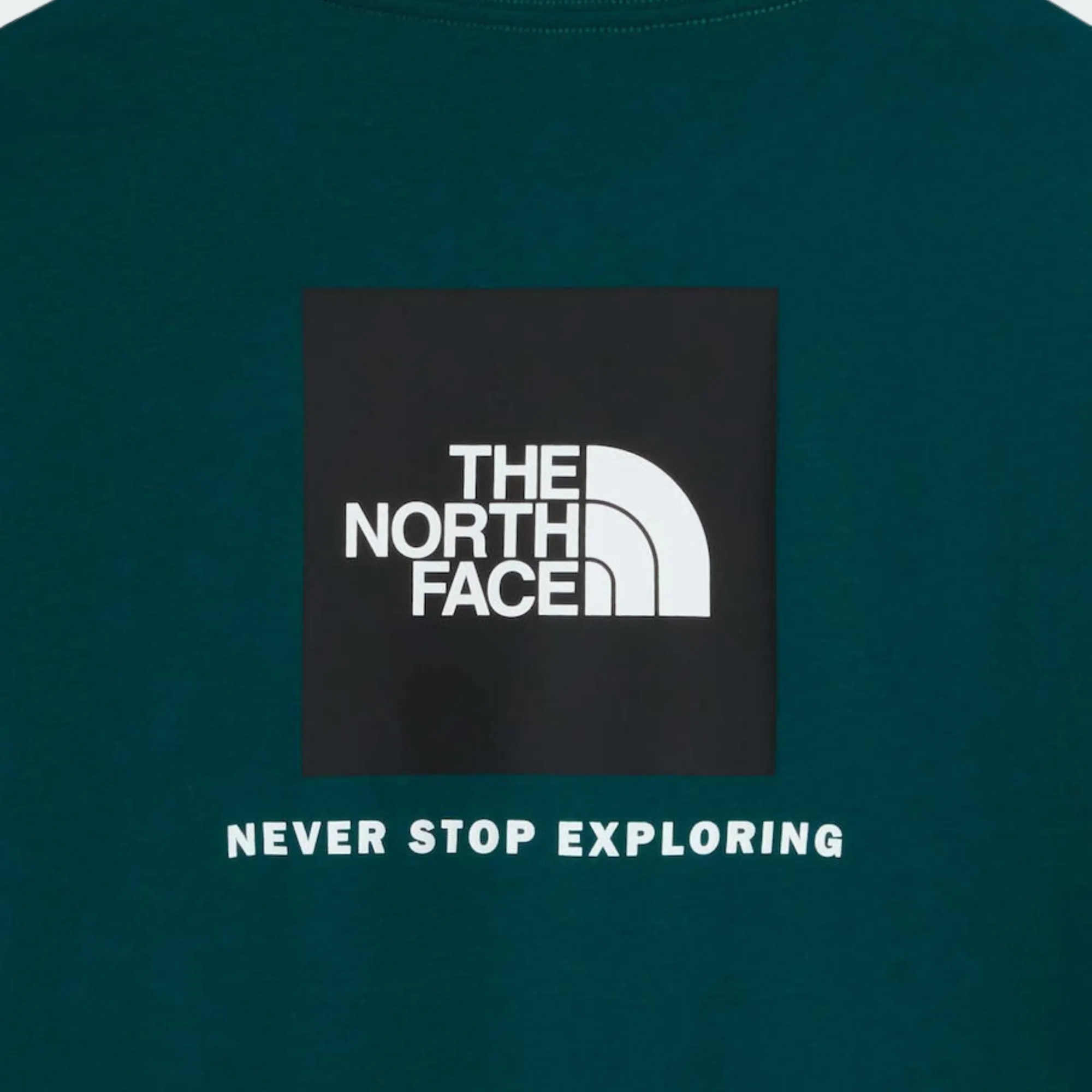 THE NORTH FACE EVO BOX NSE REGULAR TEE