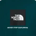 THE NORTH FACE EVO BOX NSE REGULAR TEE