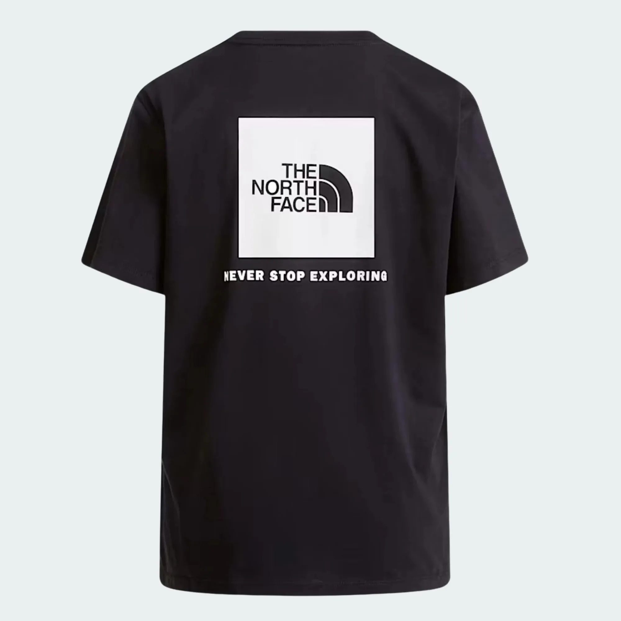 THE NORTH FACE EVO BOX NSE RELAXED TEE