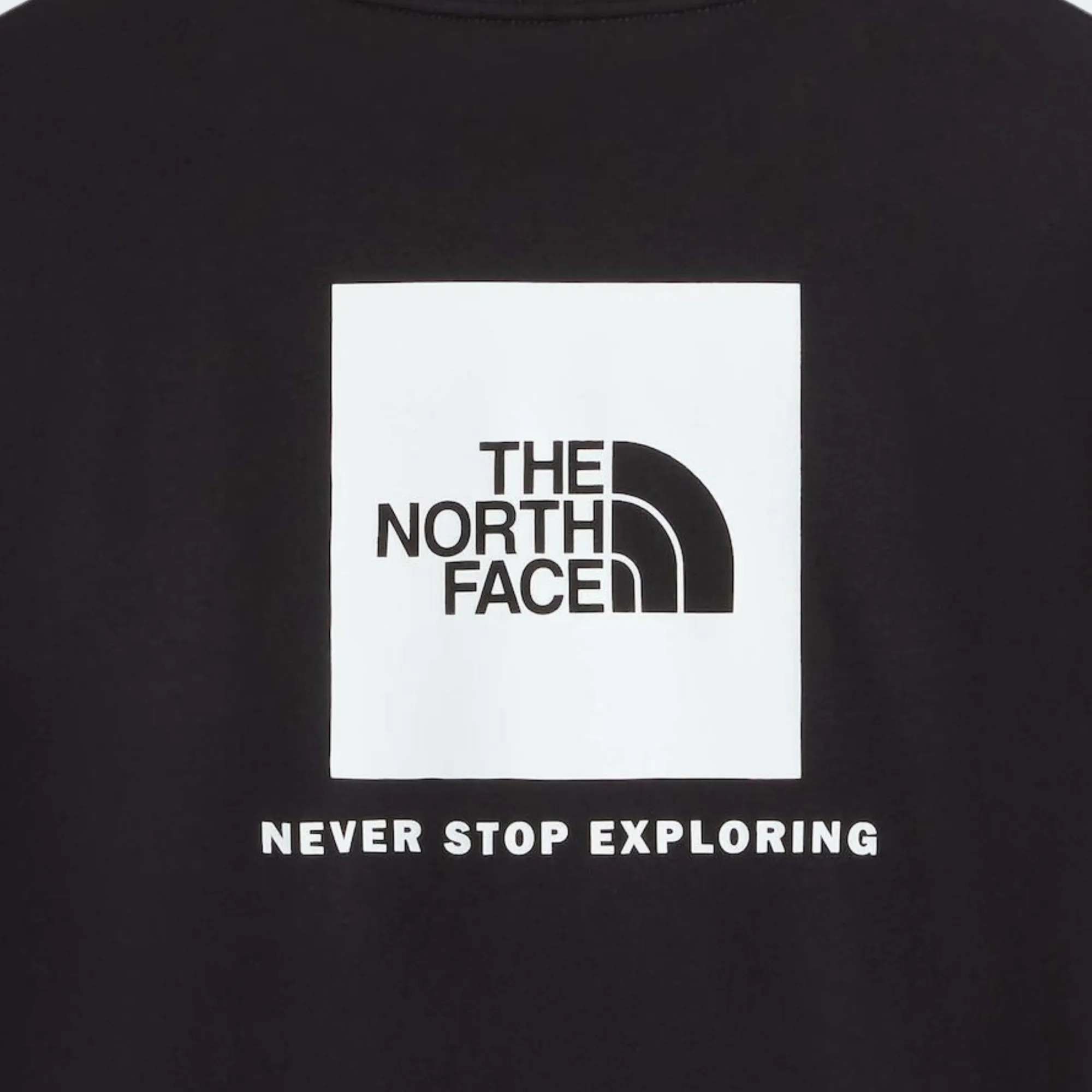 THE NORTH FACE EVO BOX NSE REGULAR LONGSLEEVE TEE