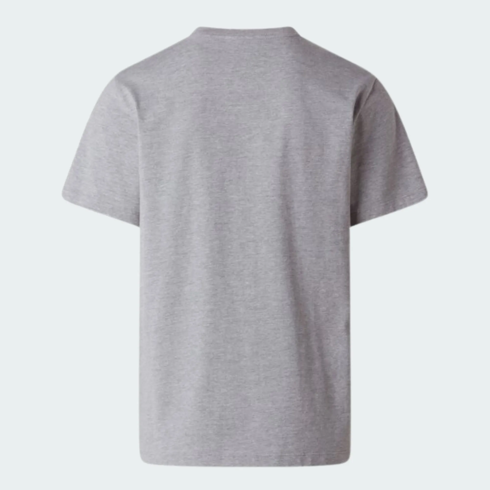 THE NORTH FACE EVO REGULAR TEE