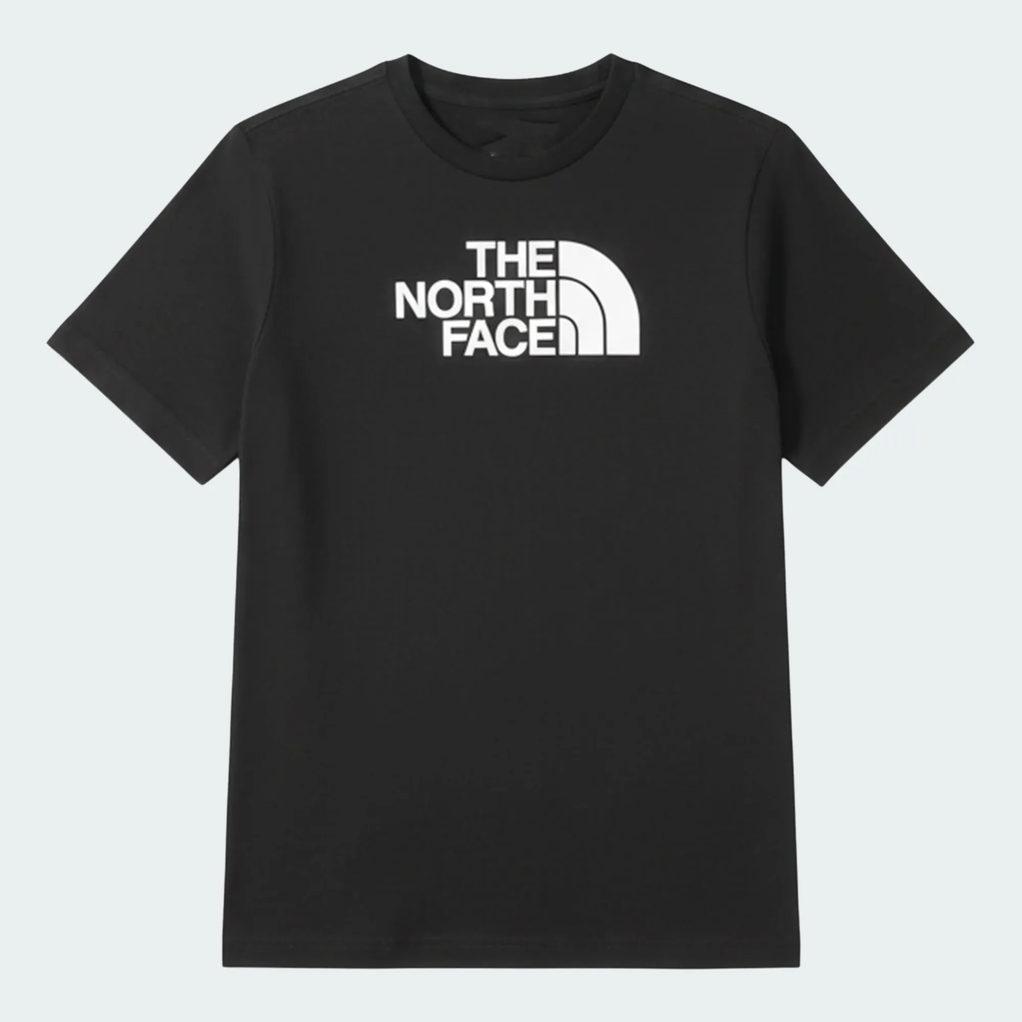 THE NORTH FACE TEEN EVOLUTION TEE