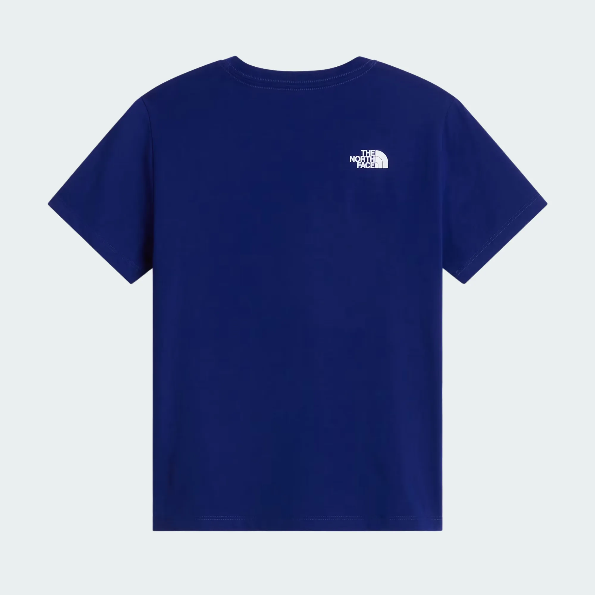 THE NORTH FACE TEEN EVOLUTION TEE
