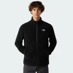 THE NORTH FACE GLACIER FLEECE JACKET