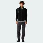 THE NORTH FACE GLACIER FLEECE JACKET
