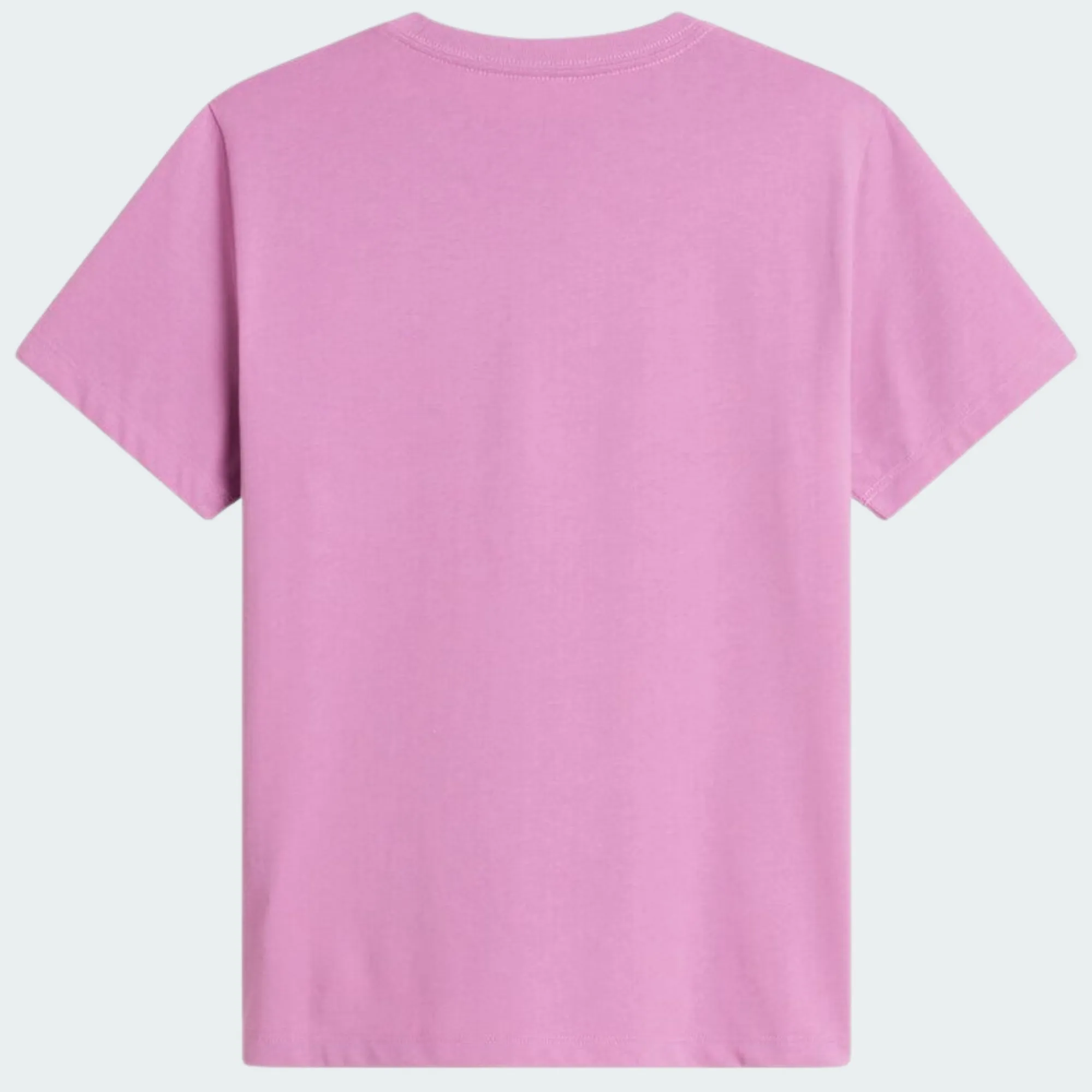 THE NORTH FACE TEEN EVO EMB TEE
