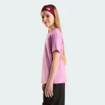 THE NORTH FACE TEEN EVO EMB TEE