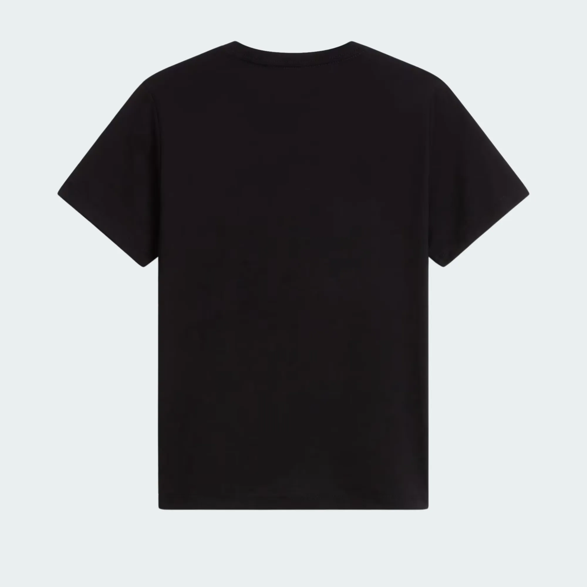 THE NORTH FACE TEEN EVO EMB TEE