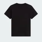 THE NORTH FACE TEEN EVO EMB TEE