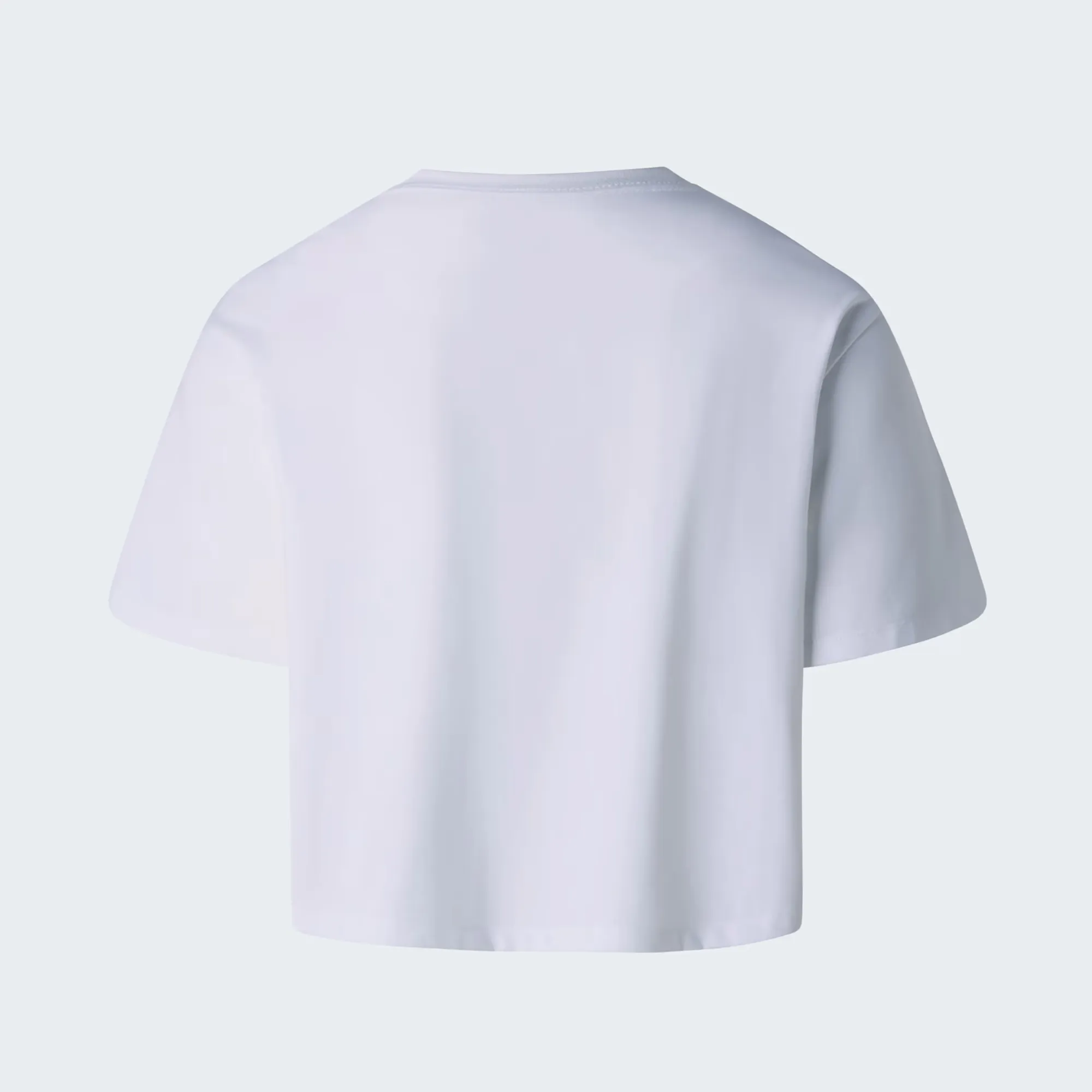 THE NORTH FACE EVO RELAXED TEE