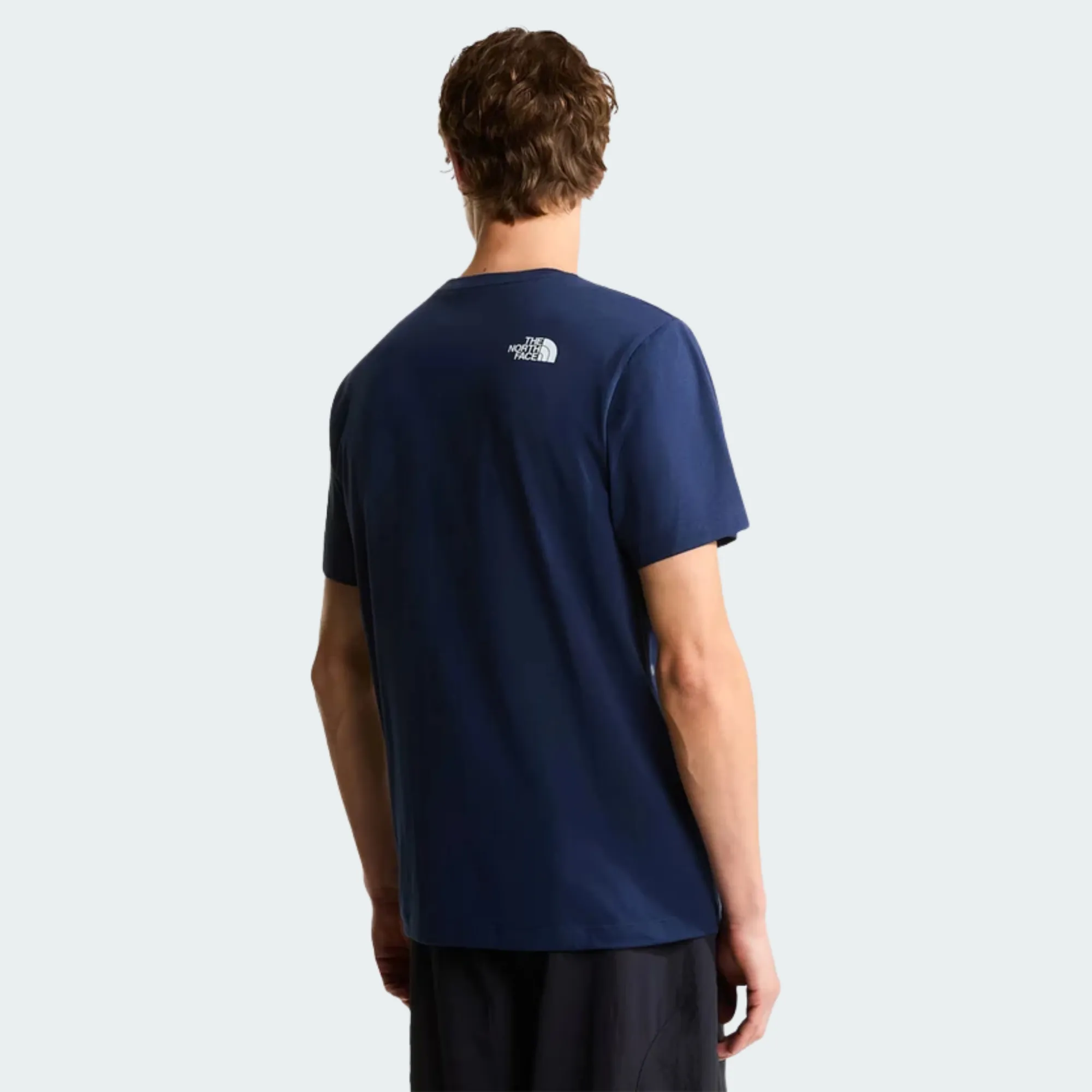 THE NORTH FACE EVO BOX TEE