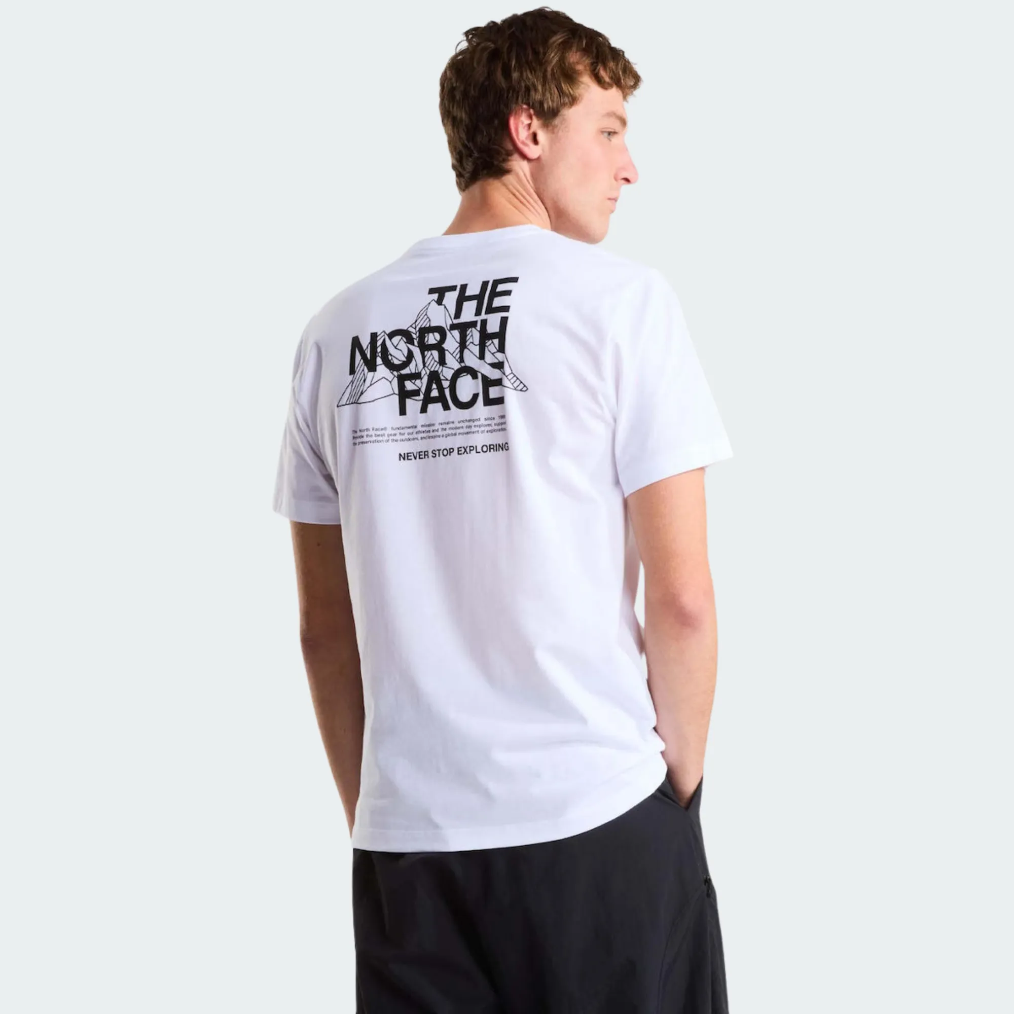 THE NORTH FACE MOUNTAIN SKETCH TEE