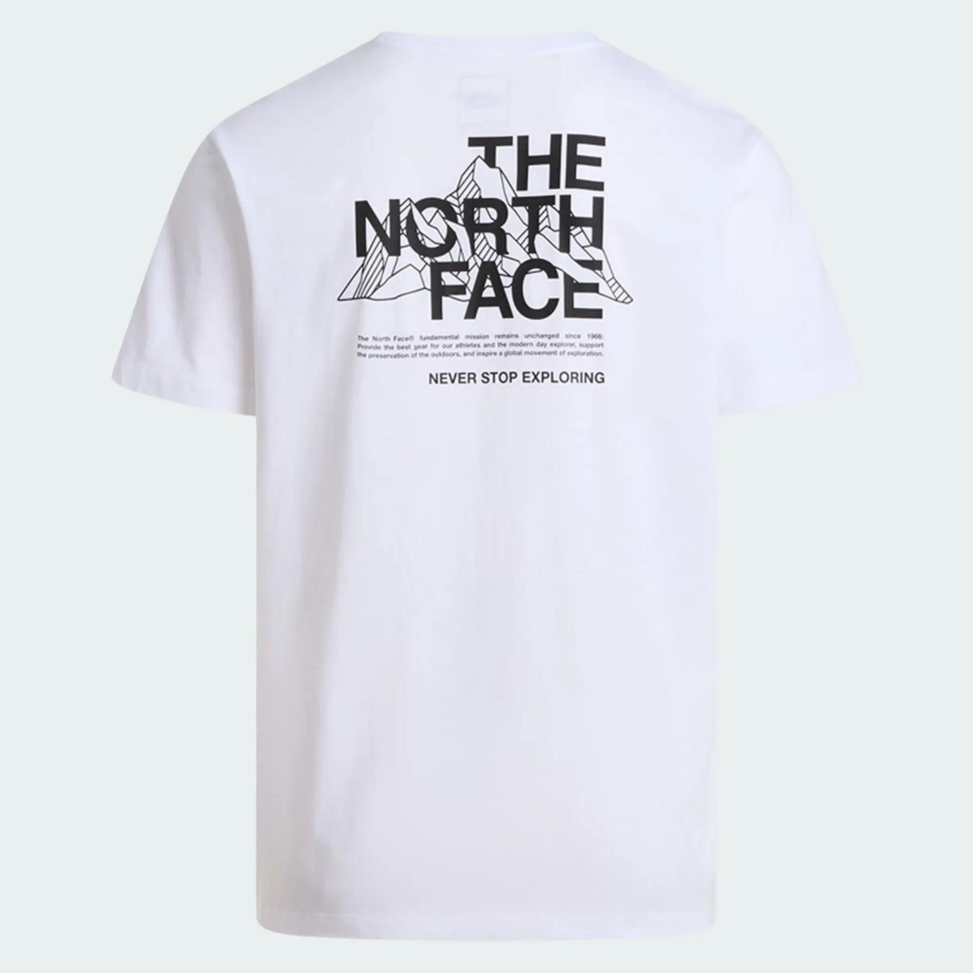 THE NORTH FACE MOUNTAIN SKETCH TEE