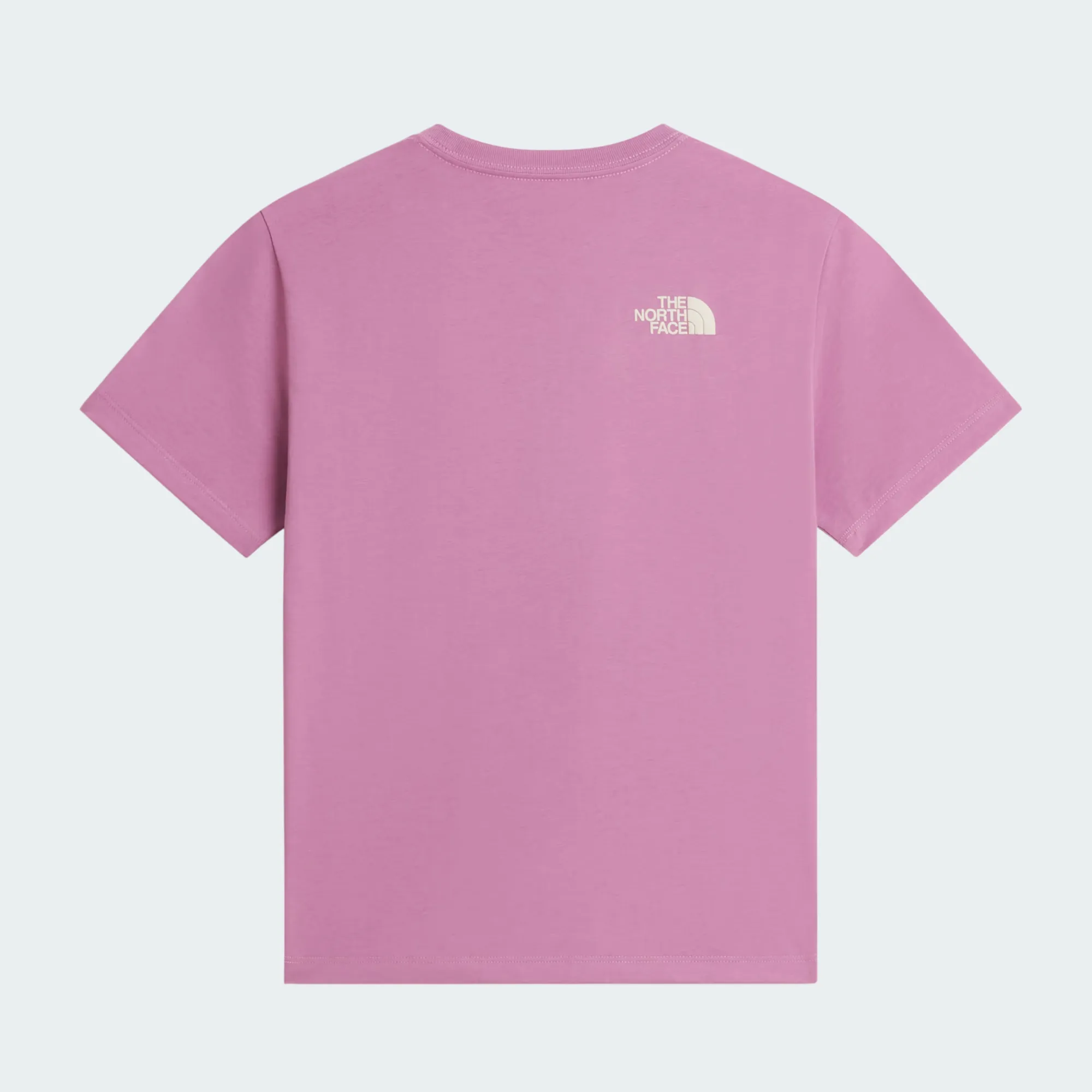 THE NORTH FACE TEEN GIRLS CHALBI RELAXED TEE