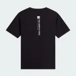 THE NORTH FACE VERTICAL REGULAR TEE