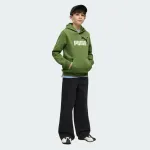 PUMA ESSENTIALS 2 COLOR NO. 1 LOGO HOODIE BOYS
