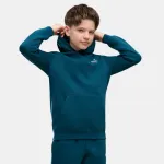 PUMA ESSENTIALS 2 COLOR SMALL NO. 1 LOGO HOODIE BOYS