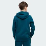 PUMA ESSENTIALS 2 COLOR SMALL NO. 1 LOGO HOODIE BOYS