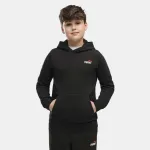 PUMA ESSENTIALS 2 COLOR SMALL NO. 1 LOGO HOODIE BOYS