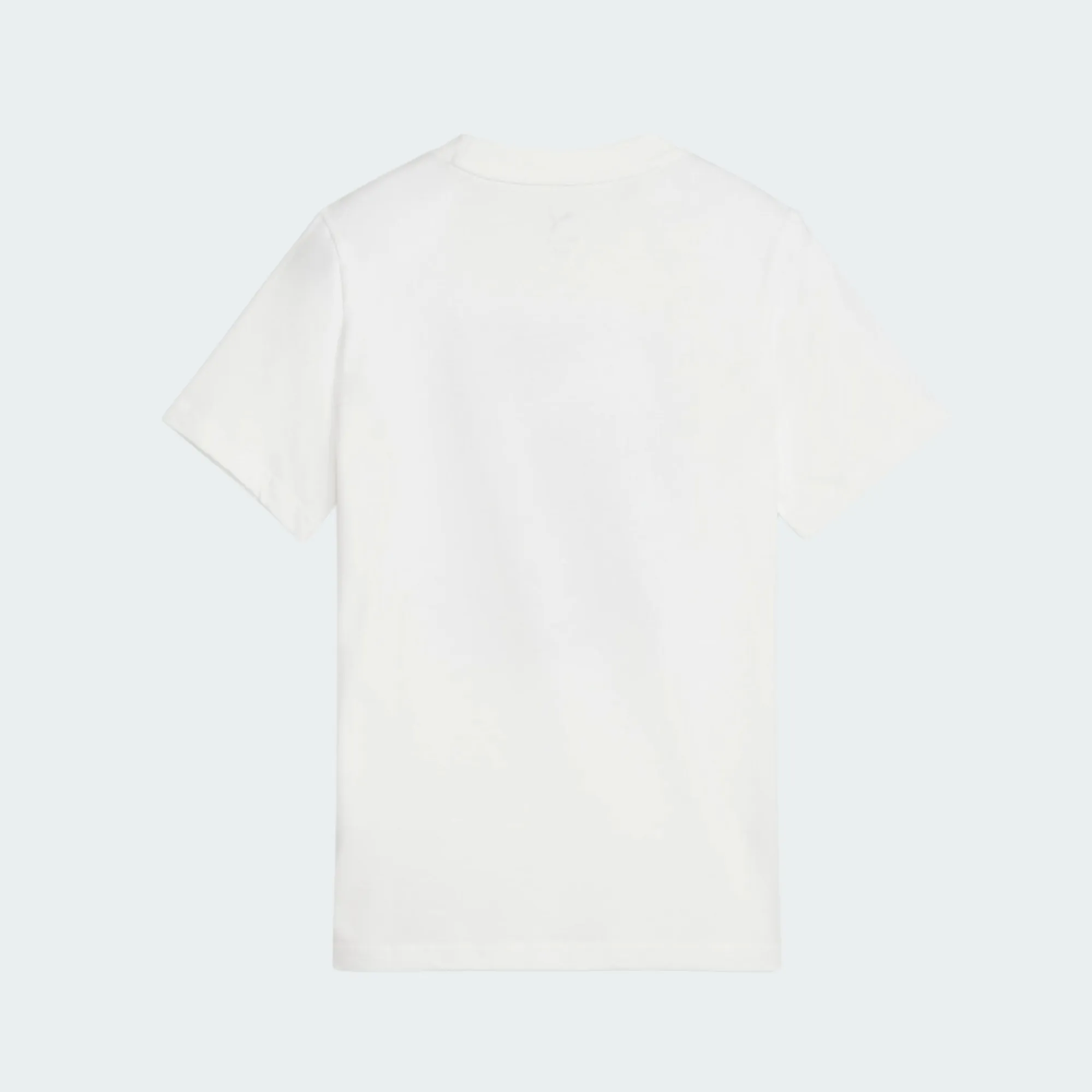 PUMA SPORT CAMO GRAPHIC TEE BOYS