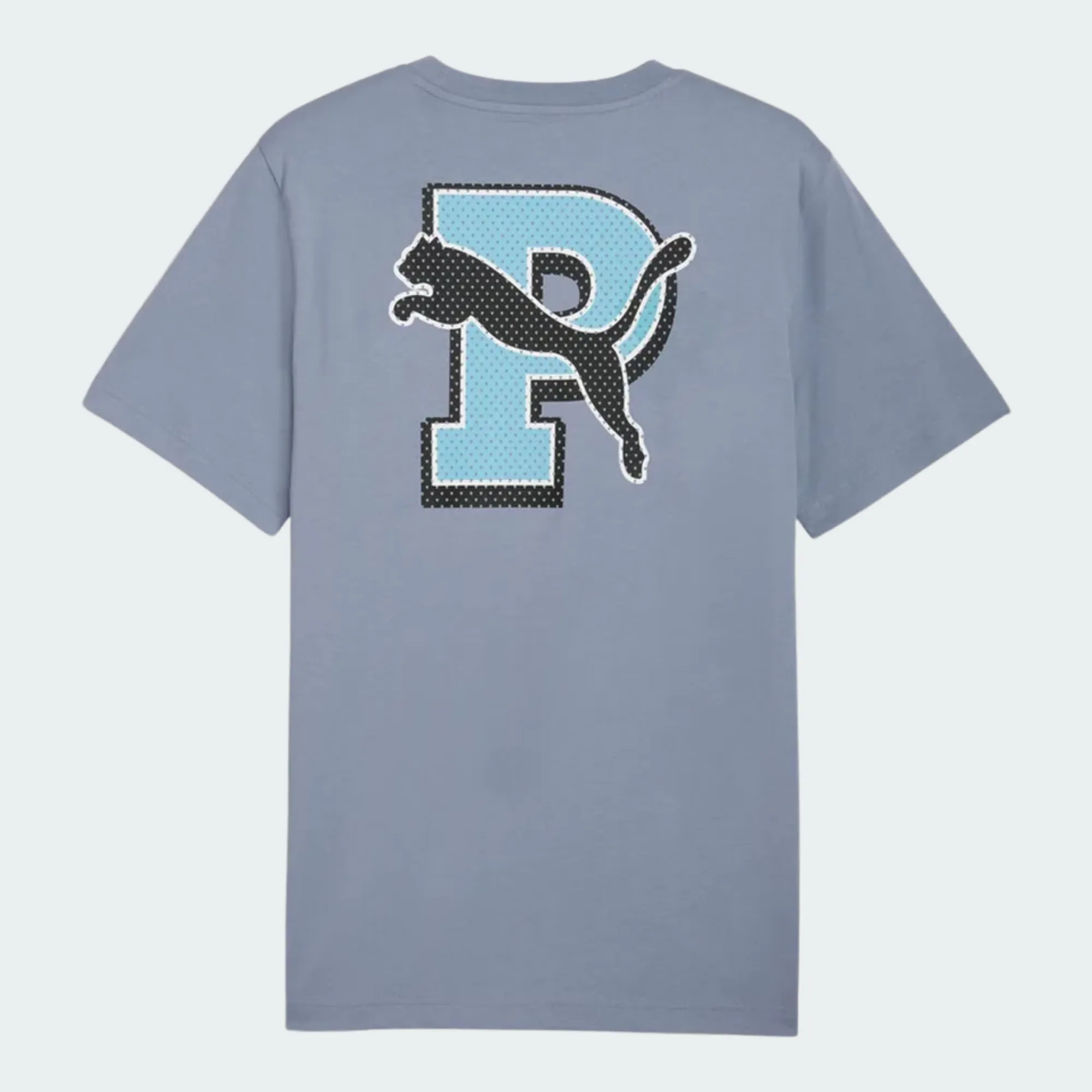 PUMA GRAPHIC VARSITY TSHIRT