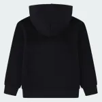 NIKE JORDAN BROOKLYN HOODIE