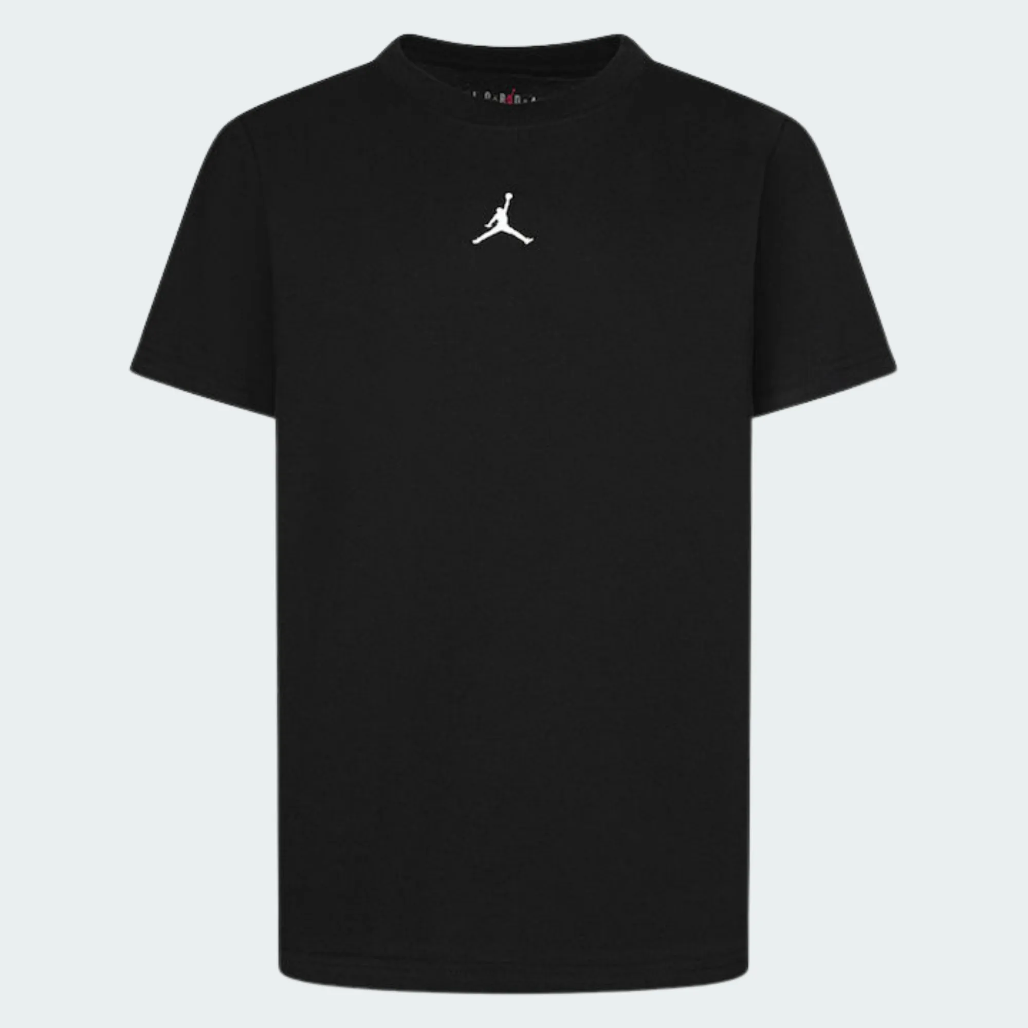 NIKE JORDAN SPORT CORE TEE