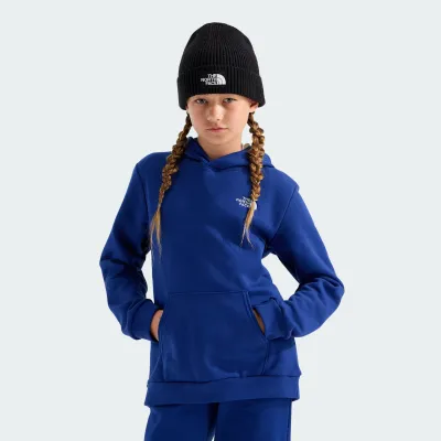 THE NORTH FACE TEEN EVOLUTION HOODIE